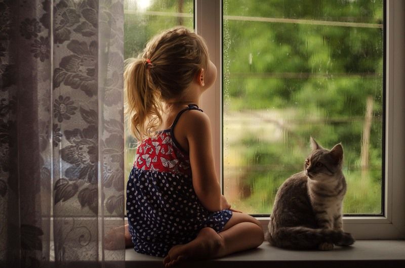 Дождь фото превью