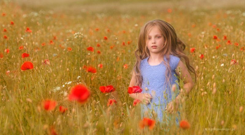 poppy time :) фото превью