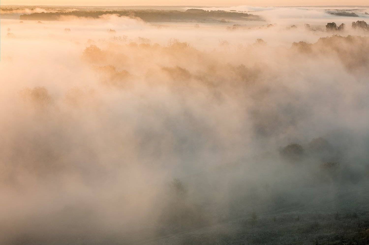 , Юрий Сорокин