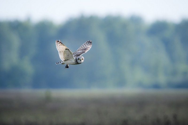 Улетаю. фото превью