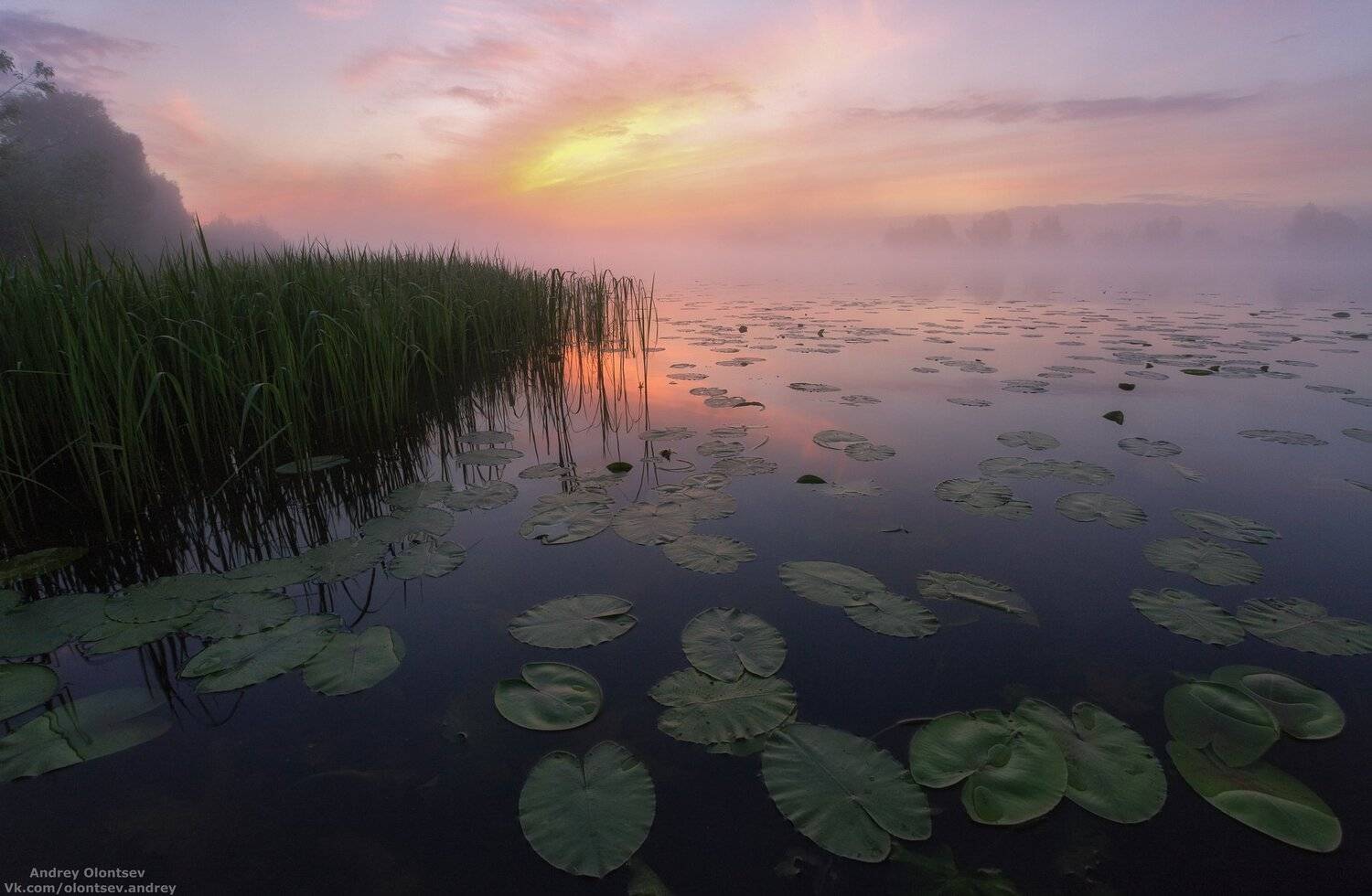 дубна, наукоград, подмосковье, россия, пейзаж, пейзажи, вода, солнце, отражение, рассвет, красота, природа, весна, погода, canon dubna, naukograd, moscow, russia, landscape, water, sun, reflection, dawn, beauty, nature, spring, weather, Андрей Олонцев
