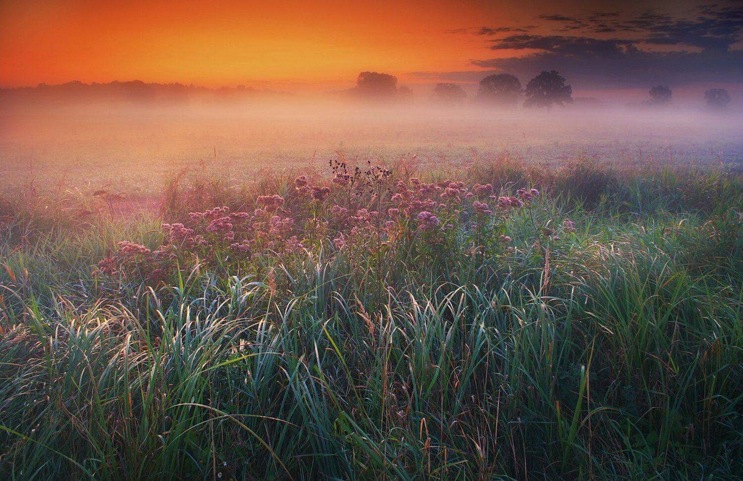 , Pawel Uchorczak