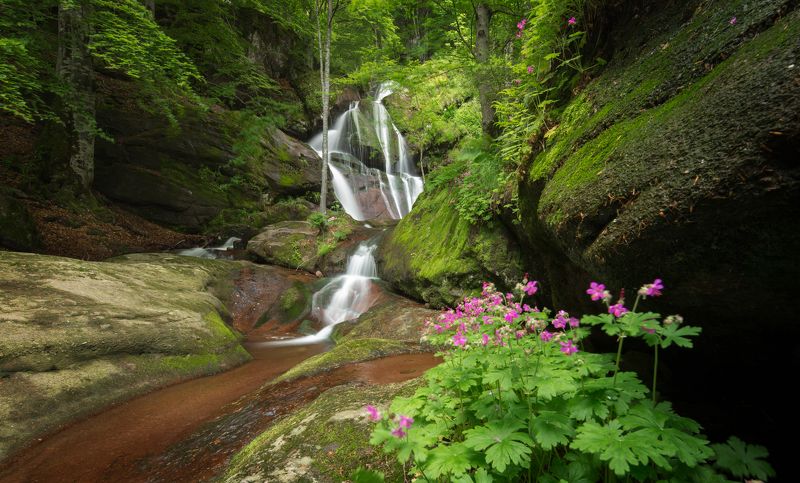 Копренска екопътека фото превью