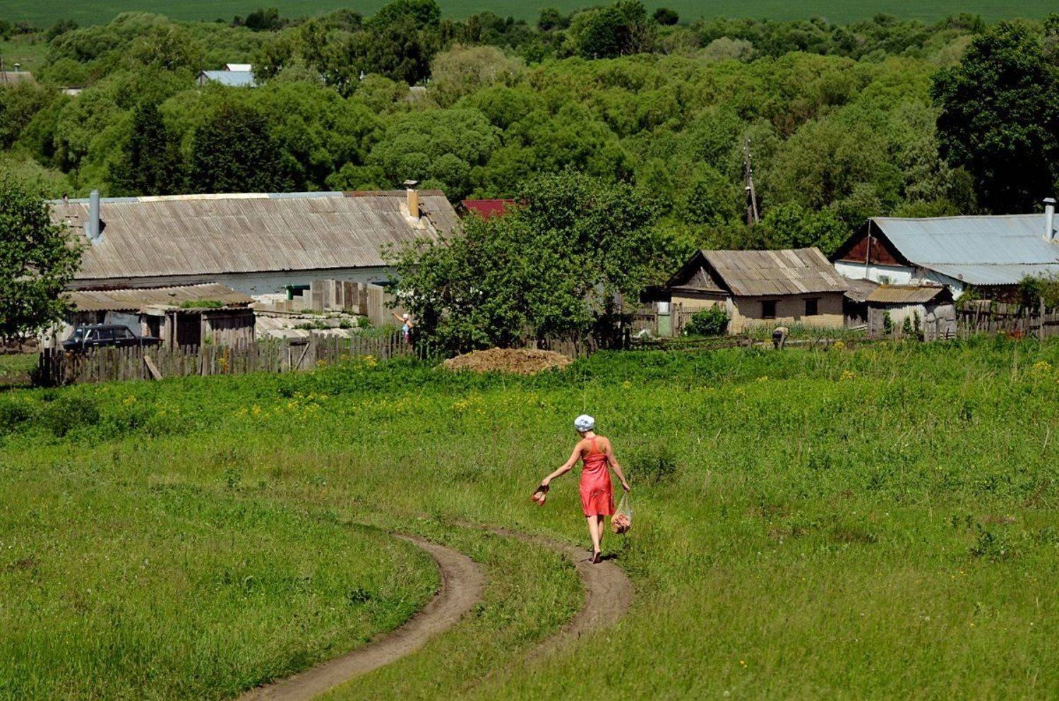 , Дмитрий Ильин