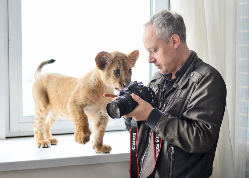 Ну что,и где Шедевр? фото превью