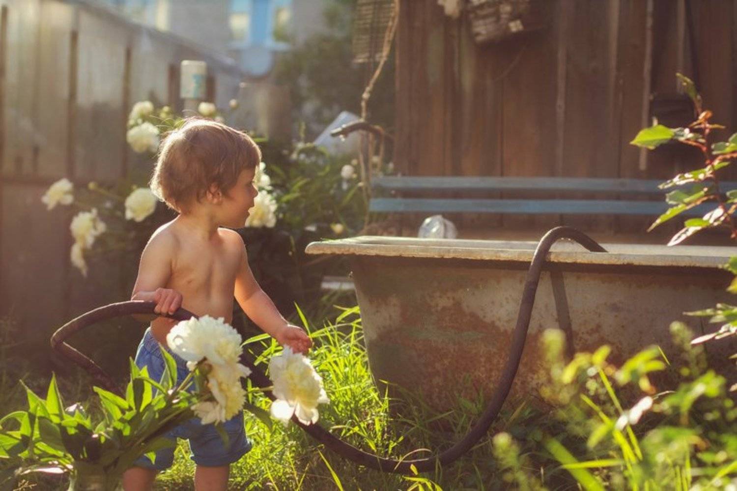 , Ольга Усачева