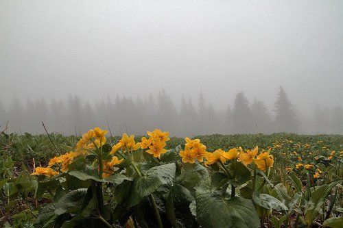 По дороге на Иремель.