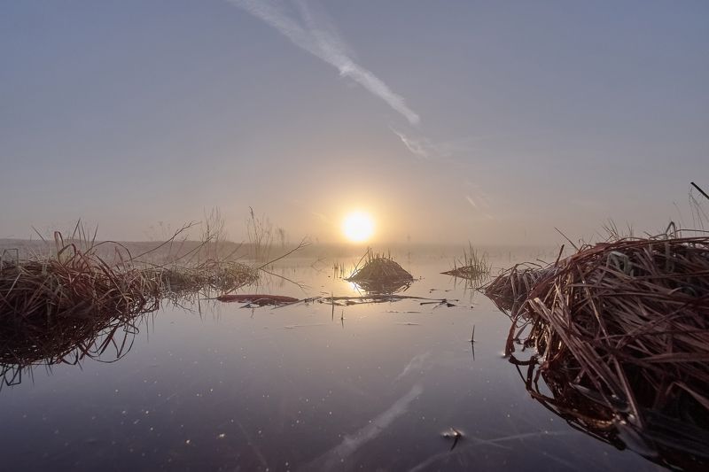 рассвет, пейзаж, природа, туман, свет, красота Утро туманное фото превью