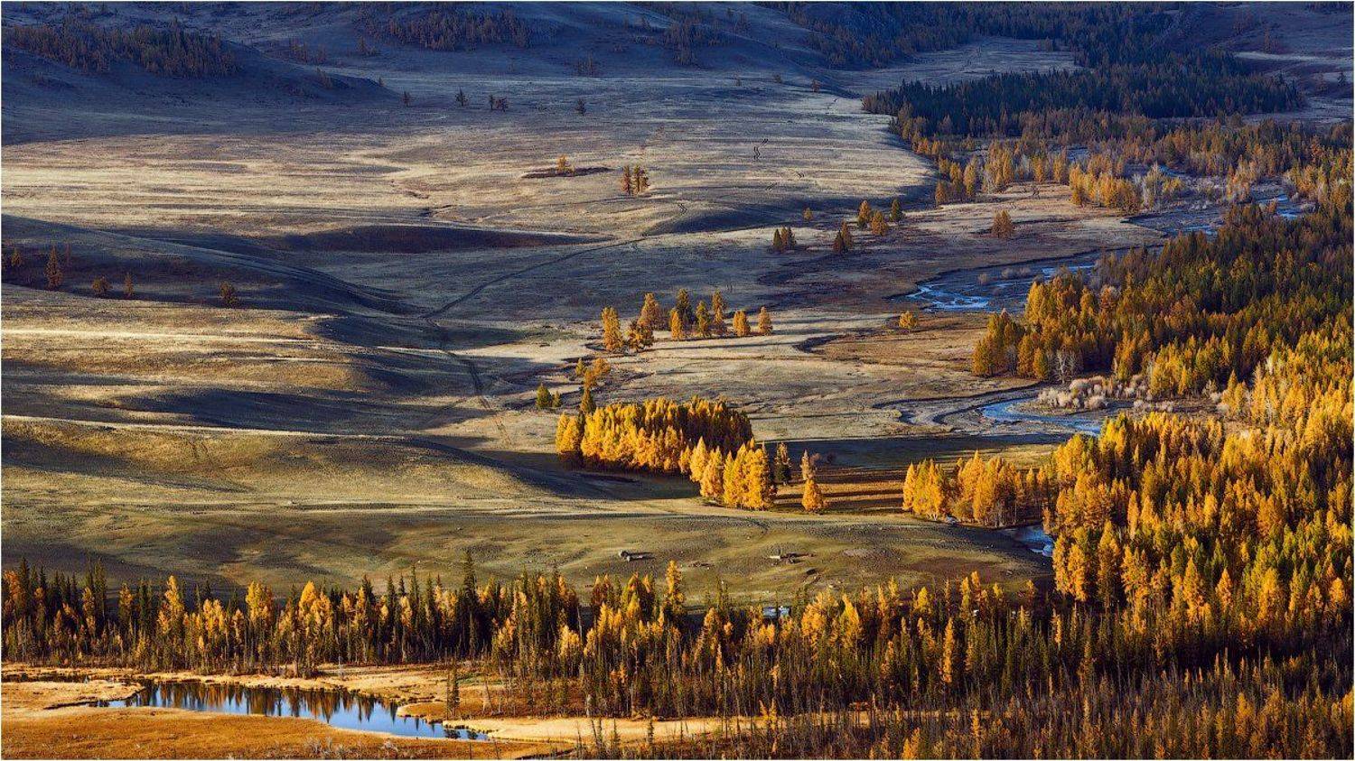 , Николай Бузмаков