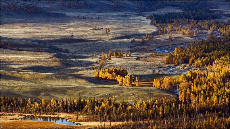 Курай на рассвете. фото превью