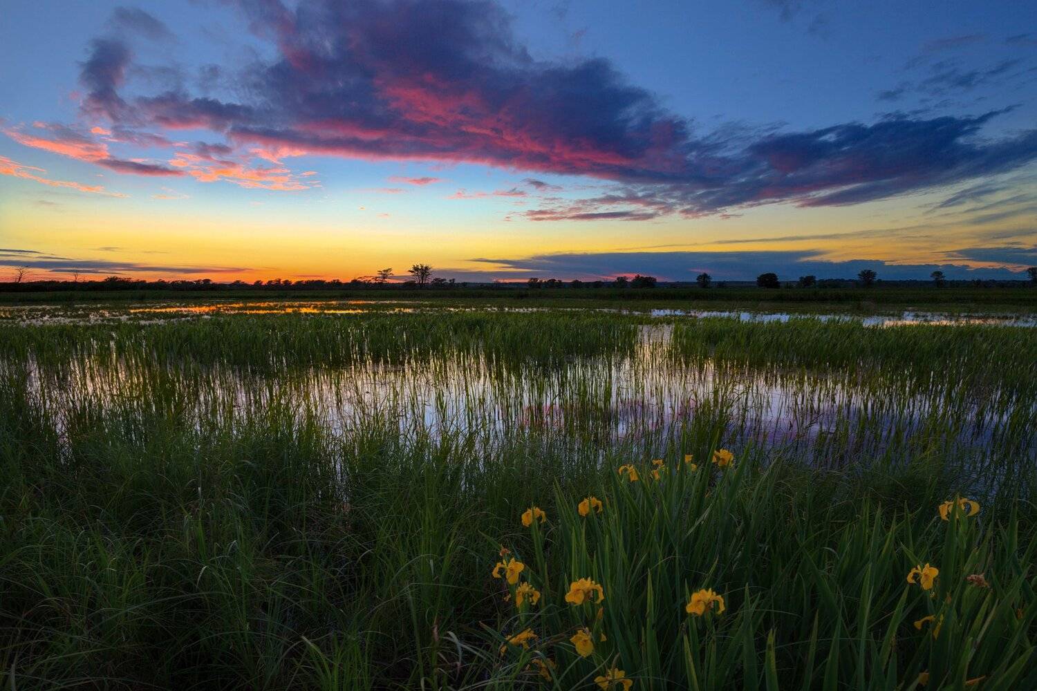 , Марат Кучкаев