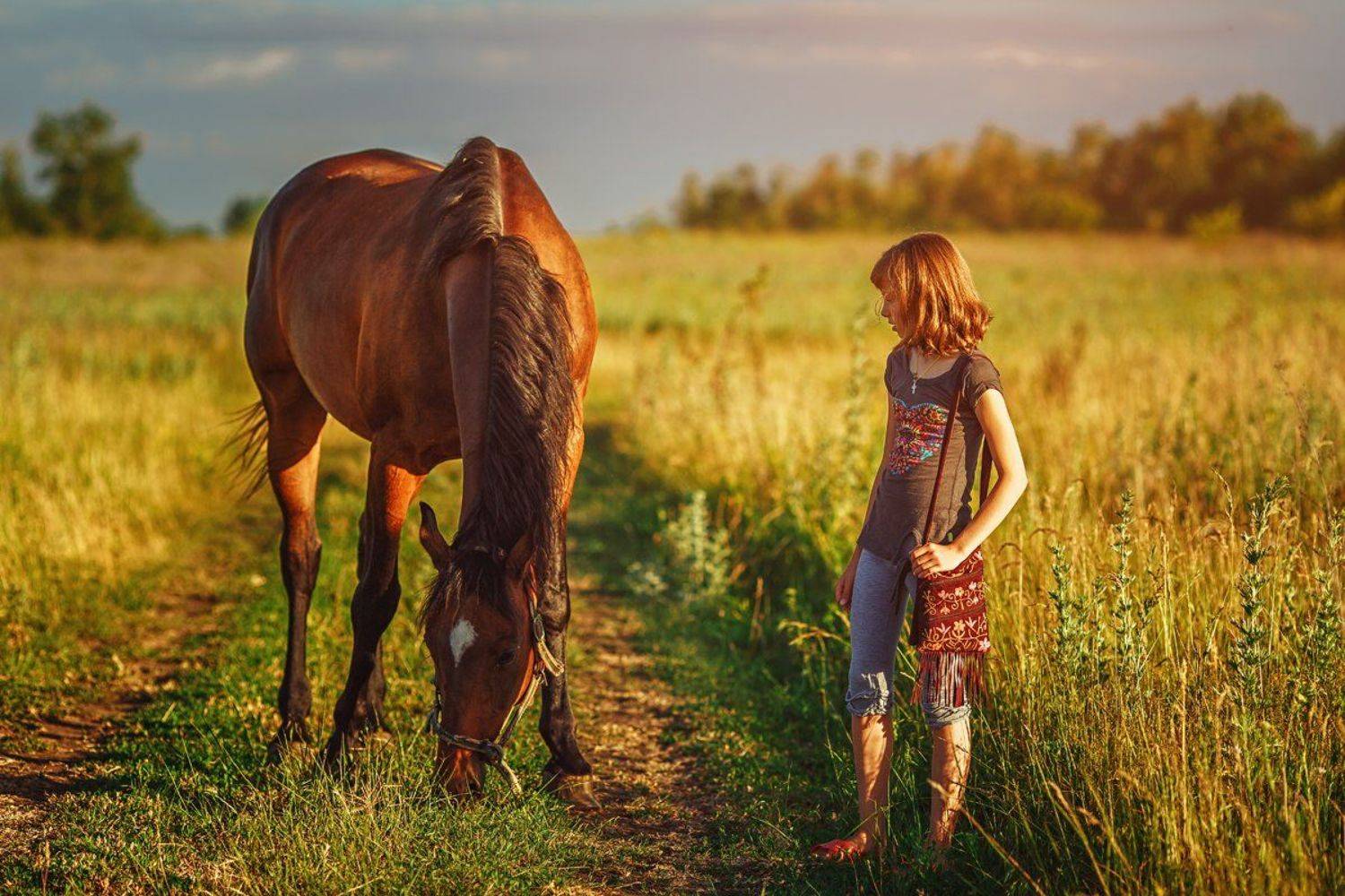 детство, дети, животные, лошадь, друзья, поле, лето, трава, закат, цветы полевые, наездница, выпас, сено, облака, красота, Марина Кондратова