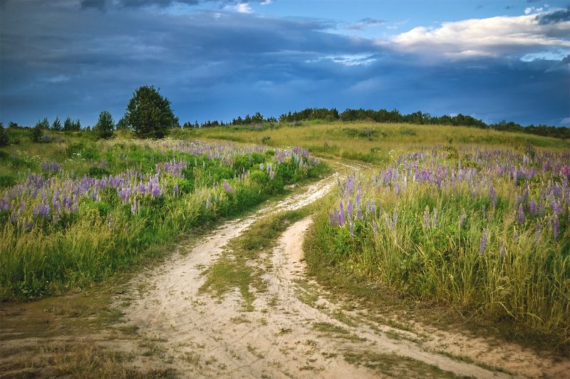Краски лета фото превью