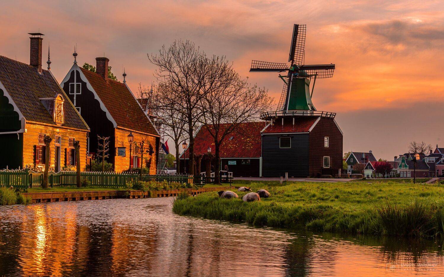 , Евгений Маркалев