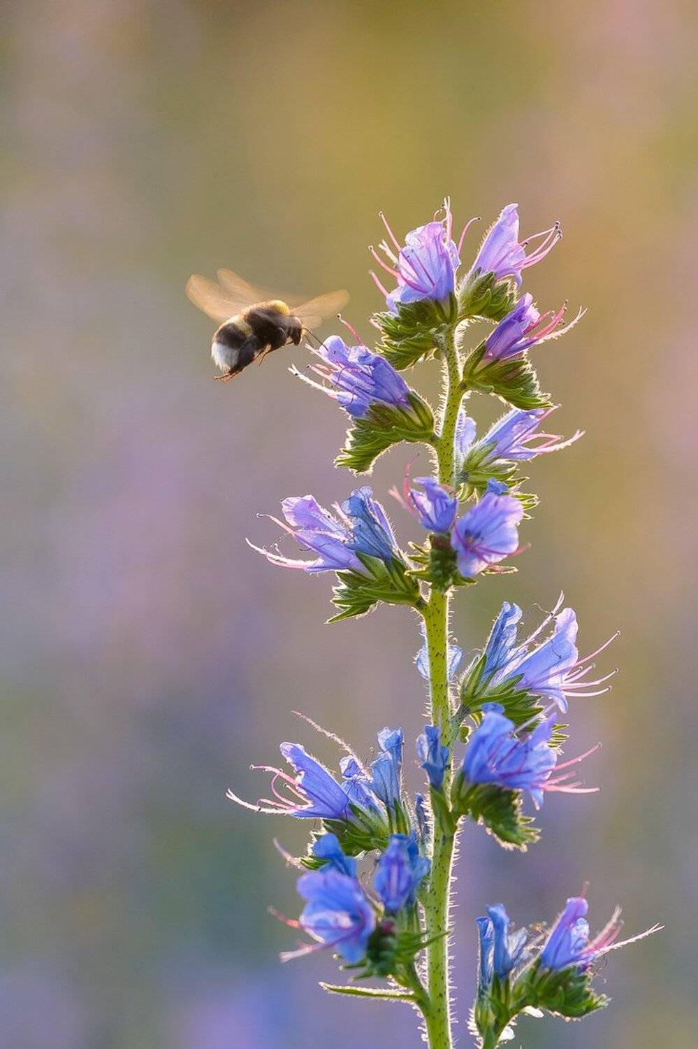 , Кузнецов Дмитрий