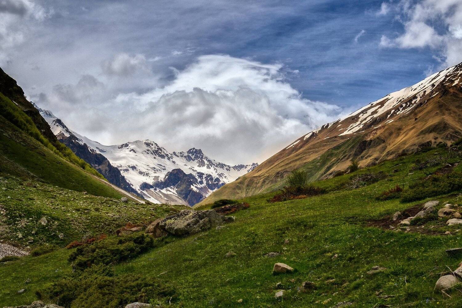 , Геннадий Чеботарев