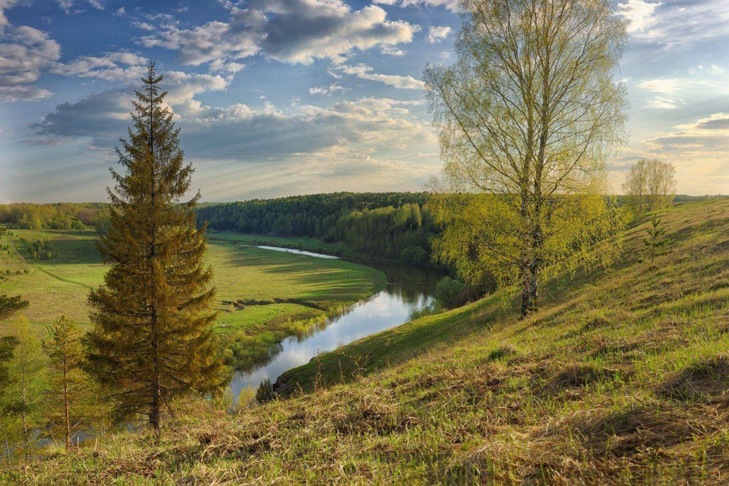 , Дмитрий Медянцев
