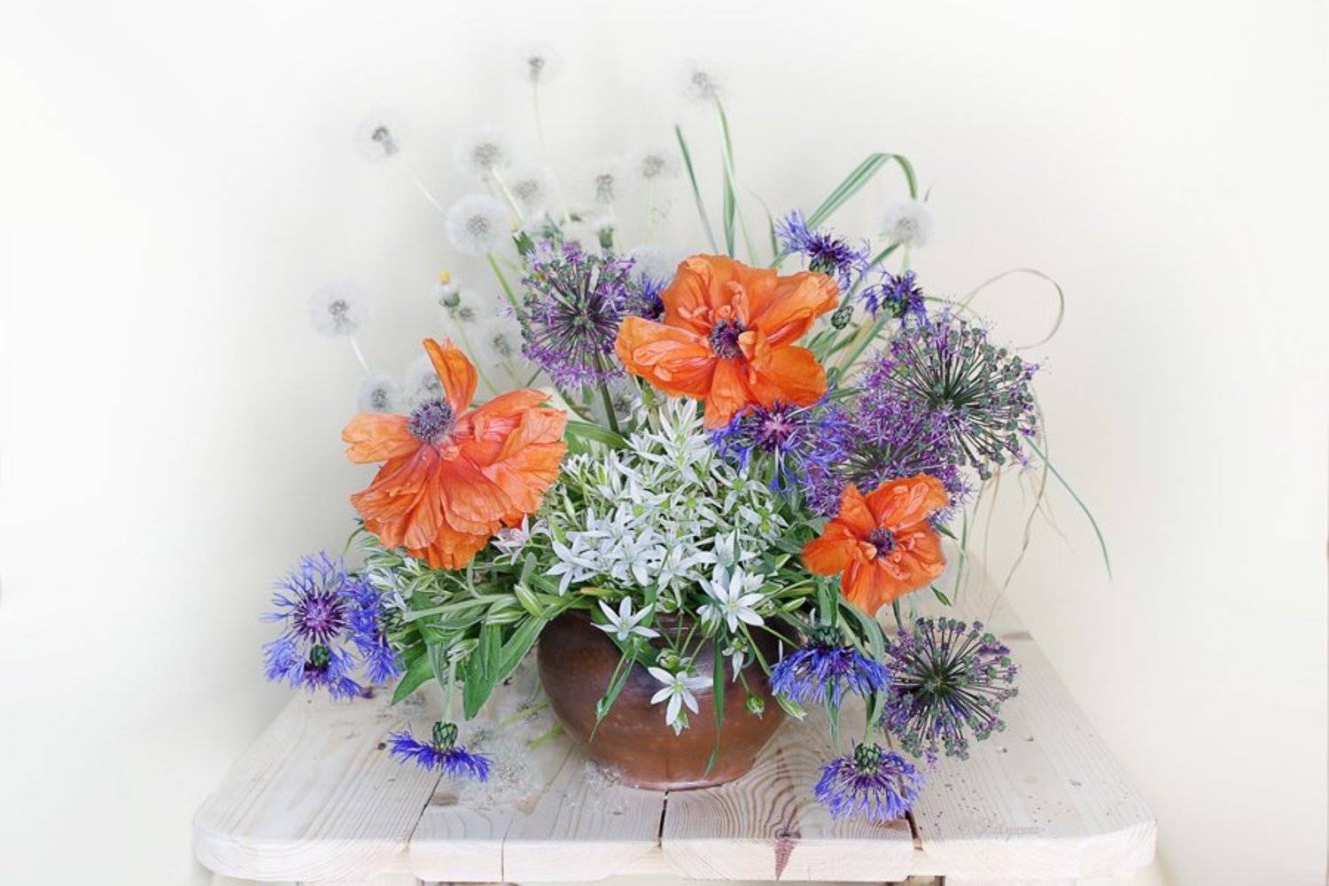 цветы,маки,звездчатка,июнь,васильки,лето,в.павлухина,, Вера Павлухина