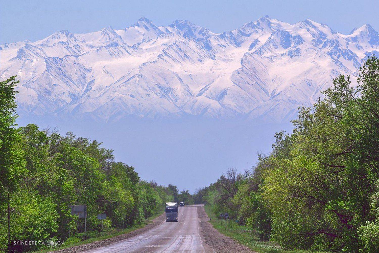 , Скиндерева Ольга