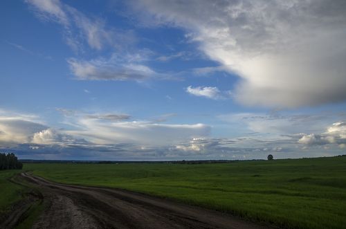 Брянские просторы