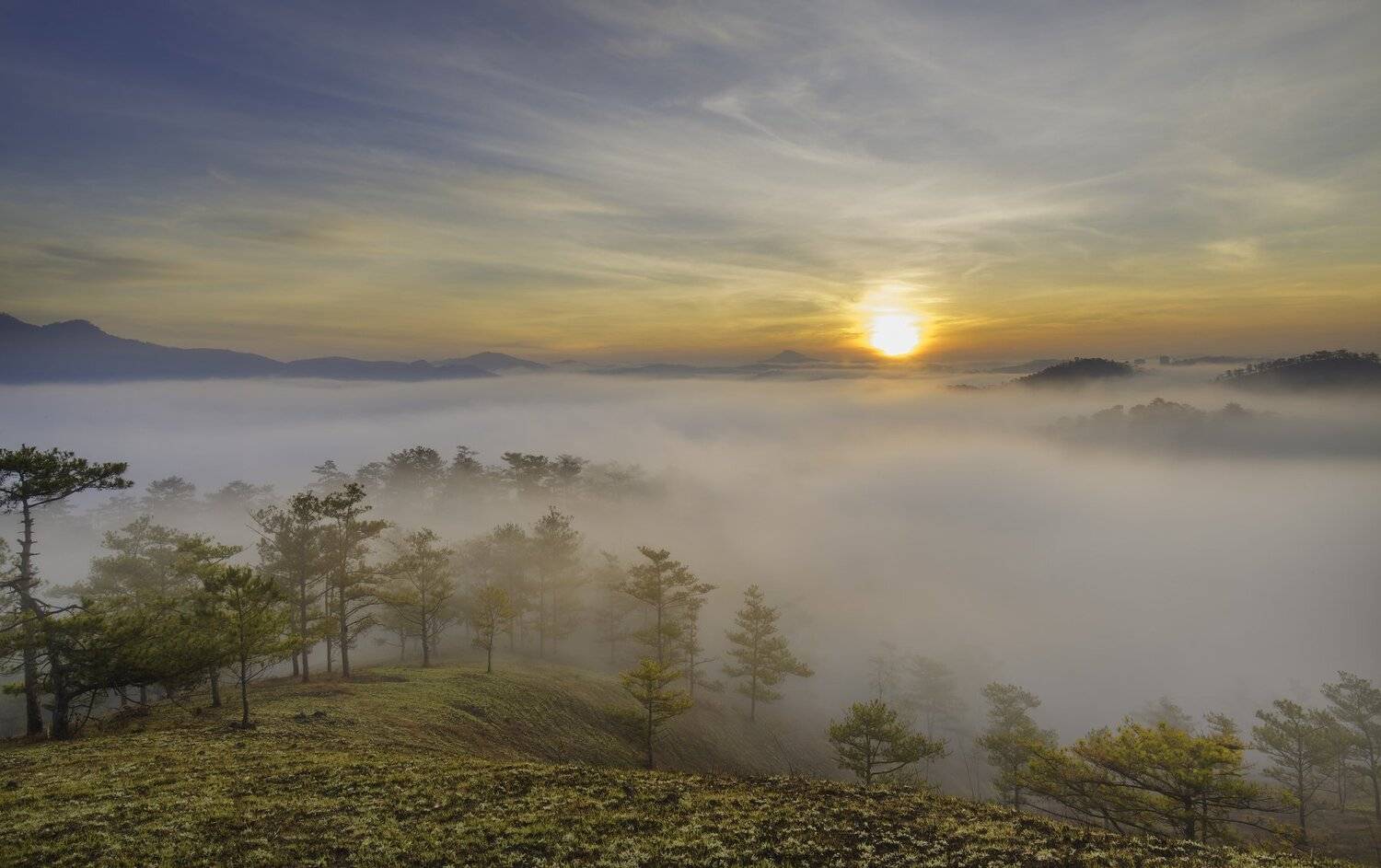 Đ&agrave; Lạt  L&acirc;m Đồng Việt Nam , vannguyenhop29@gmail.com