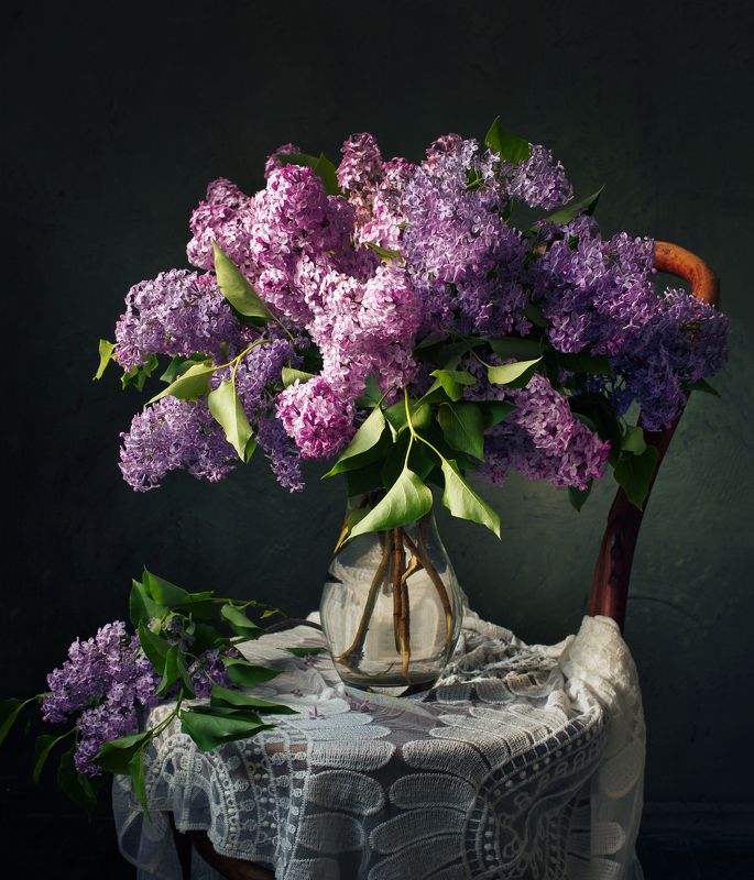 Лилак фото превью