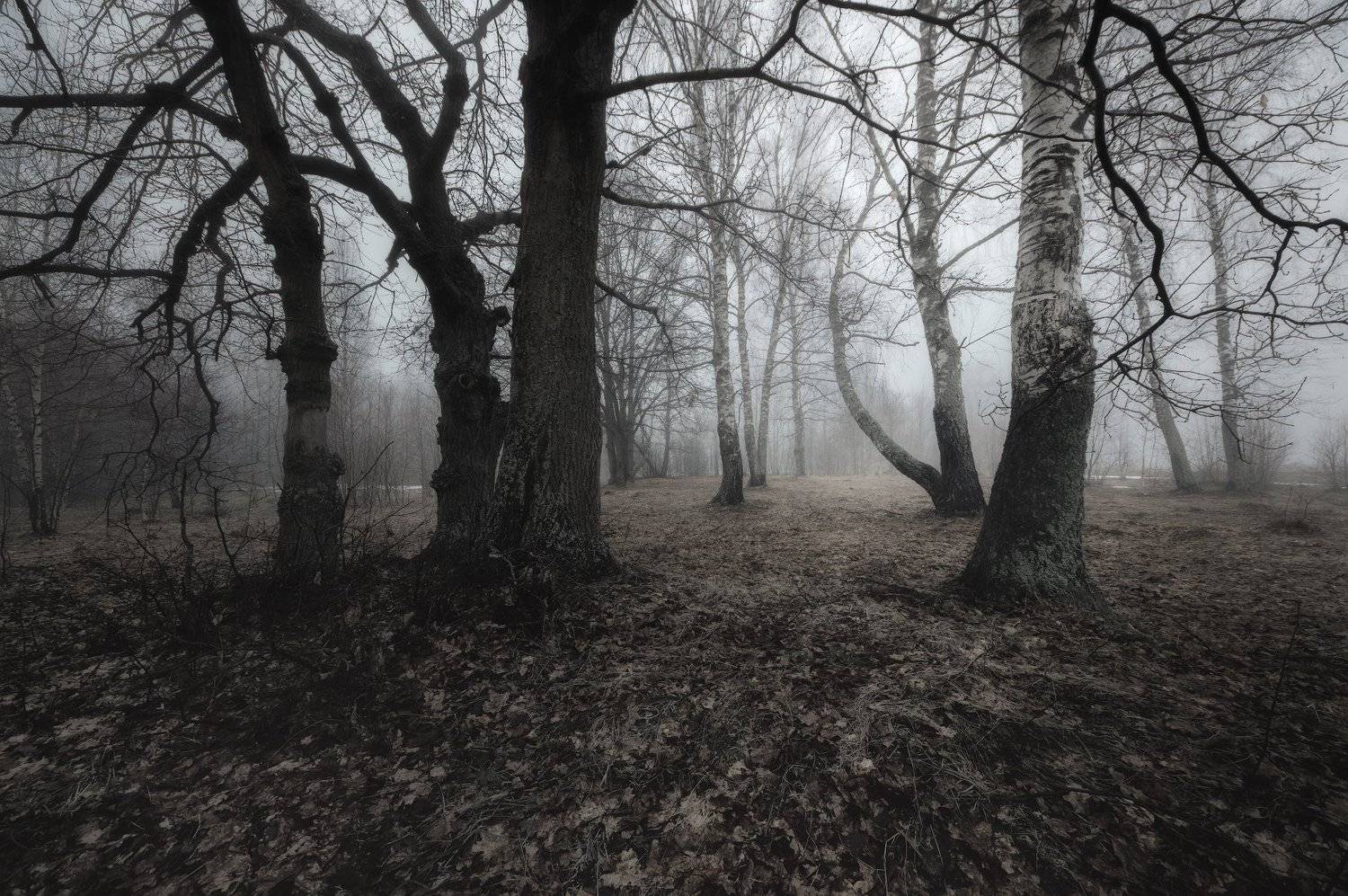 , Сергей (Bekr)