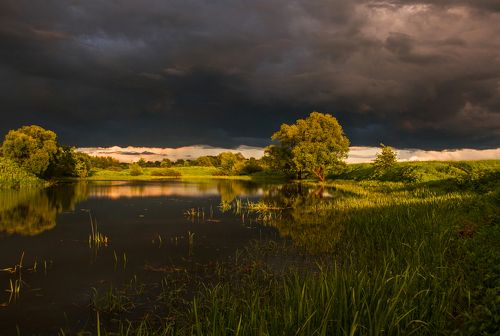 Последний луч солнца перед бурей