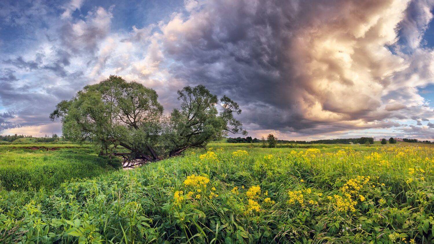 , Николай Андреев