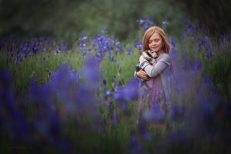 В ирисах фото превью