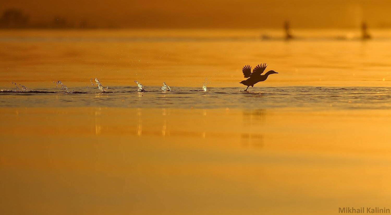 , Михаил Калинин