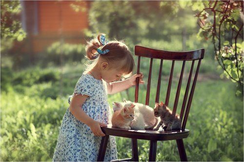 А у нас сегодня кошка родила вчера котят...