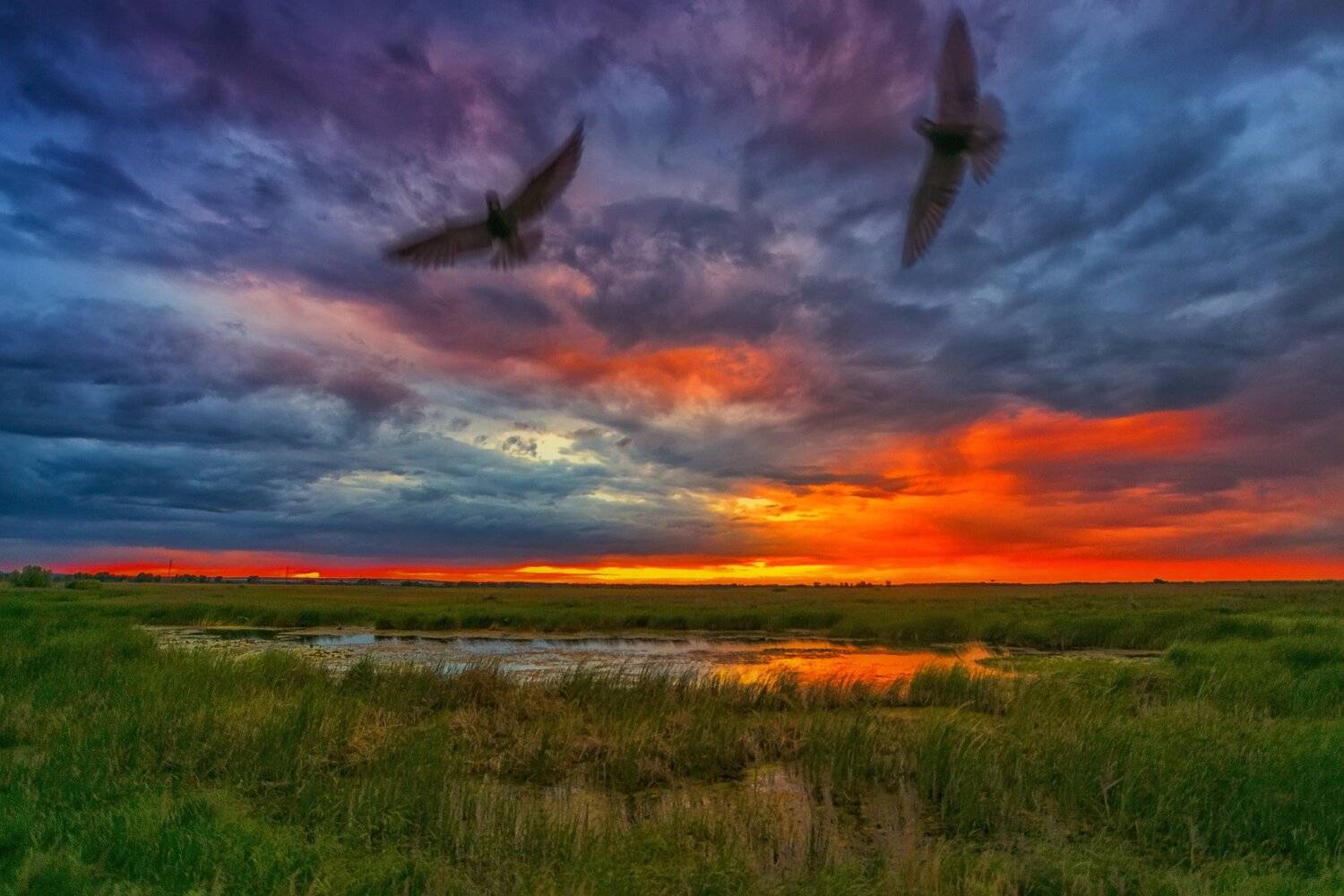 , Павел Сагайдак