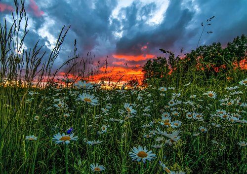 Evening colors