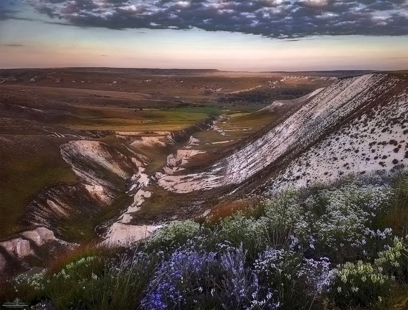 дон, россия Весна в Донском парке фото превью