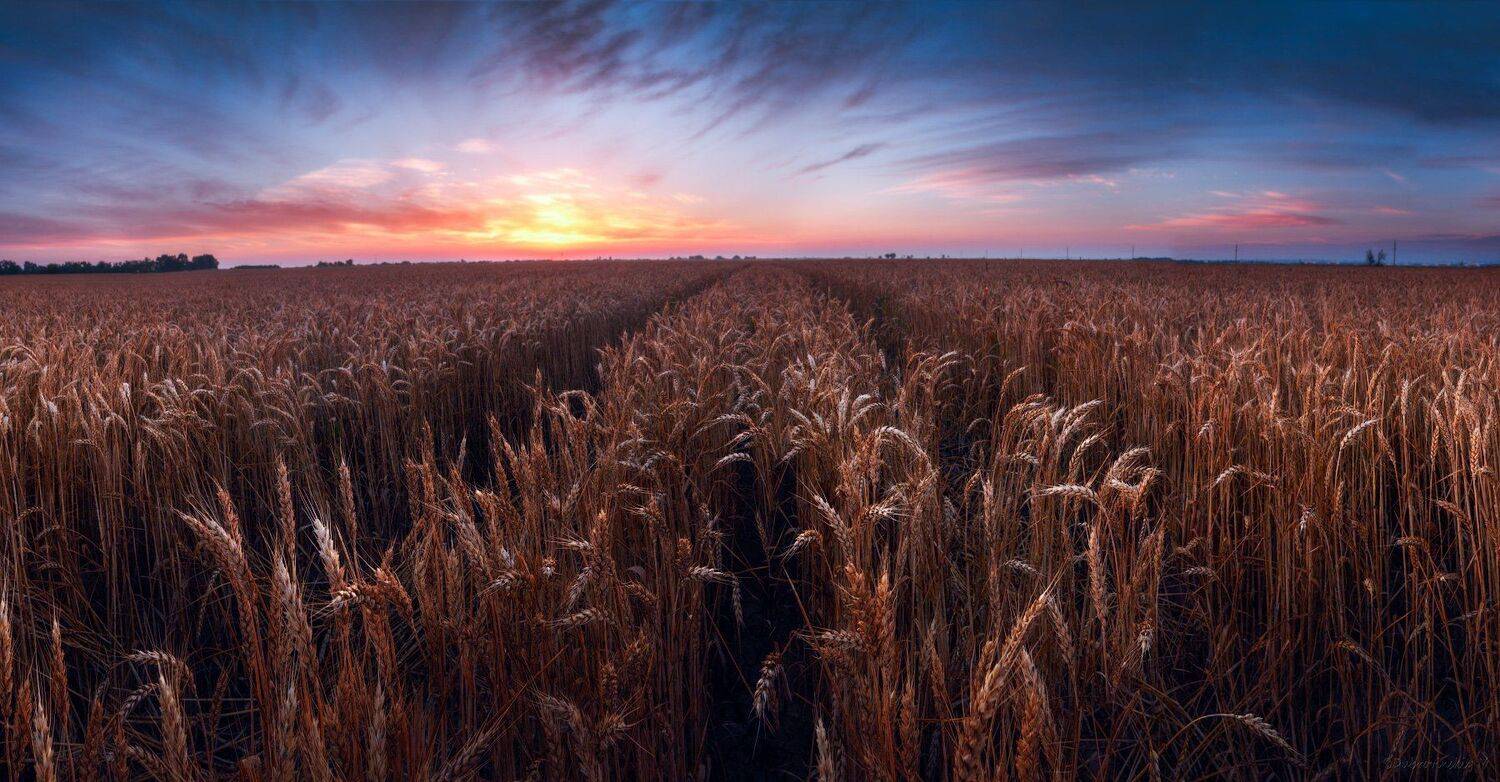 , Михаил Дубровинский