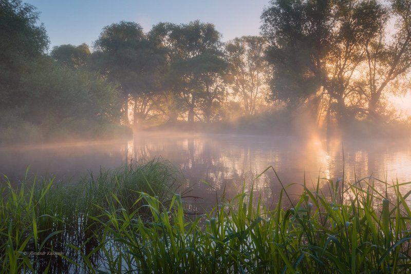 пейзаж, рассвет, угра Утренний свет... фото превью