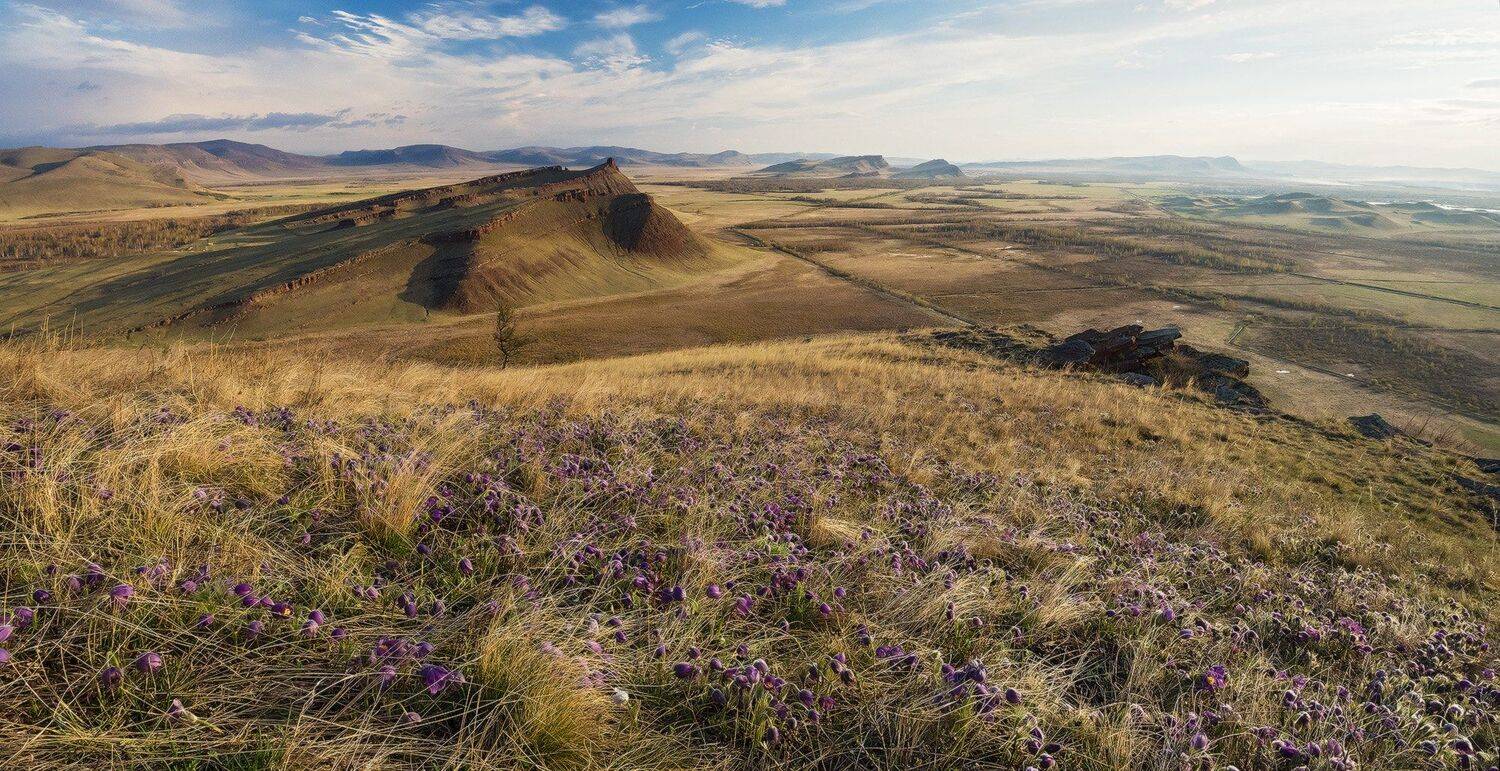 , Лещёнок Александр