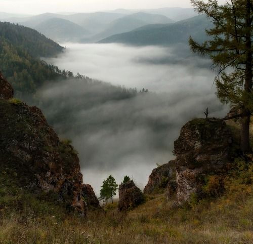 Холодный рассвет.