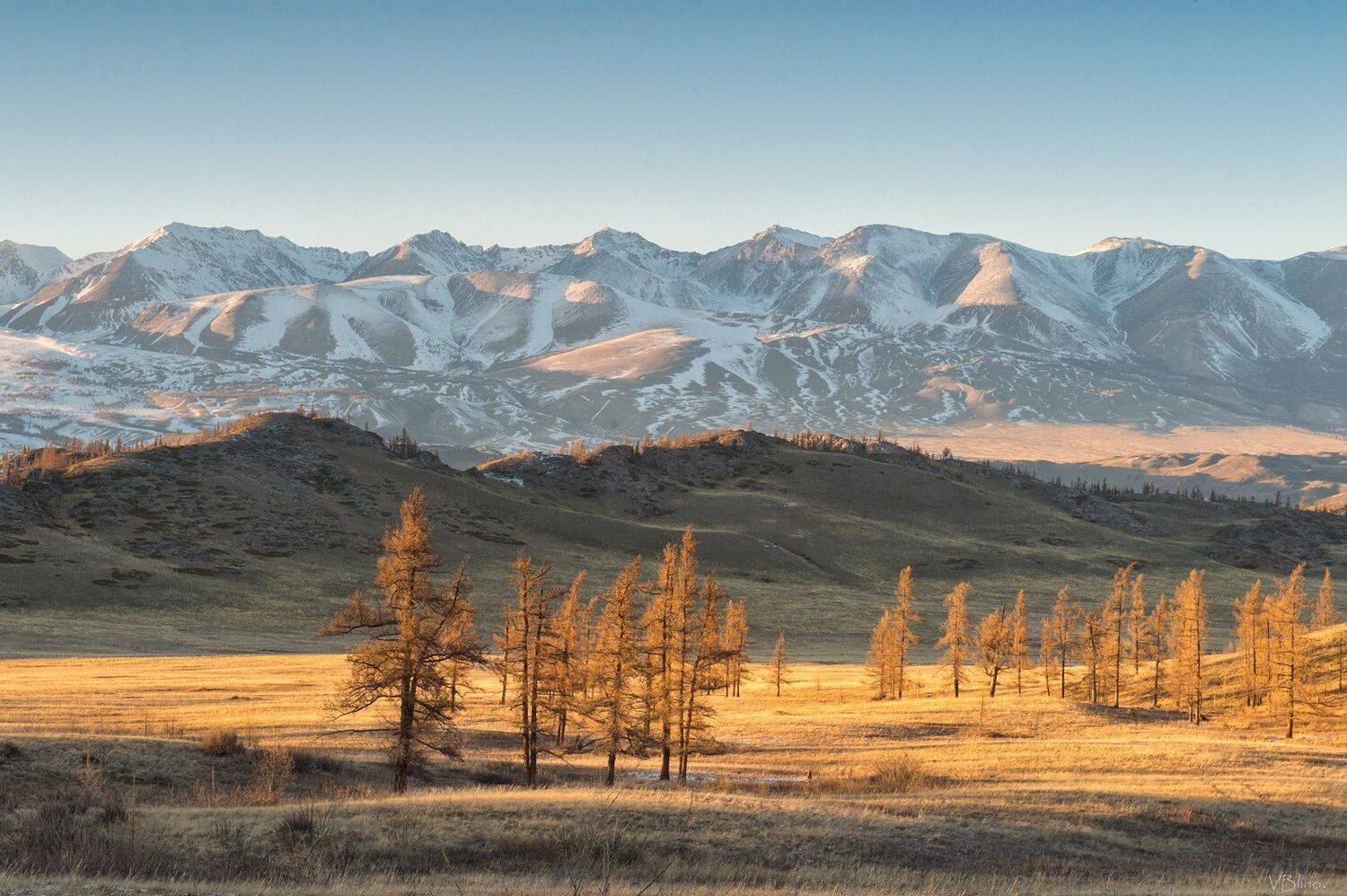 , Блинов Василий