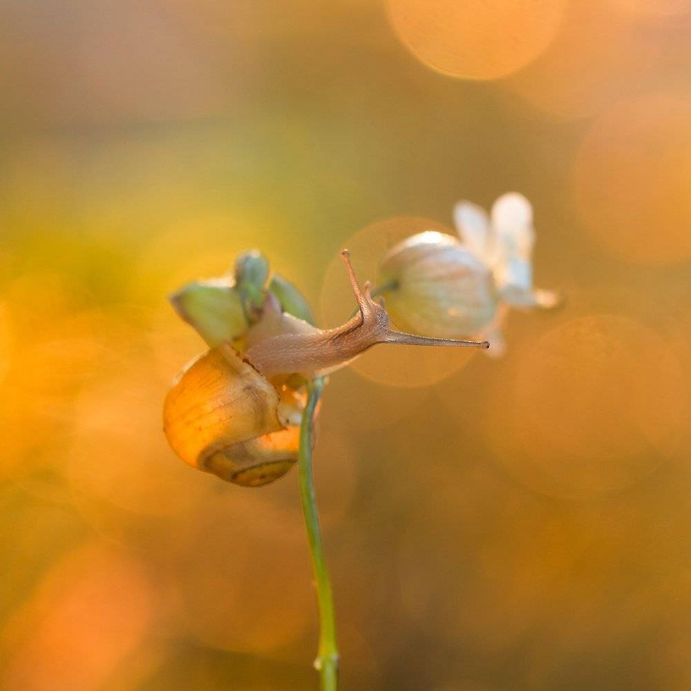 , Pawel Plucinski