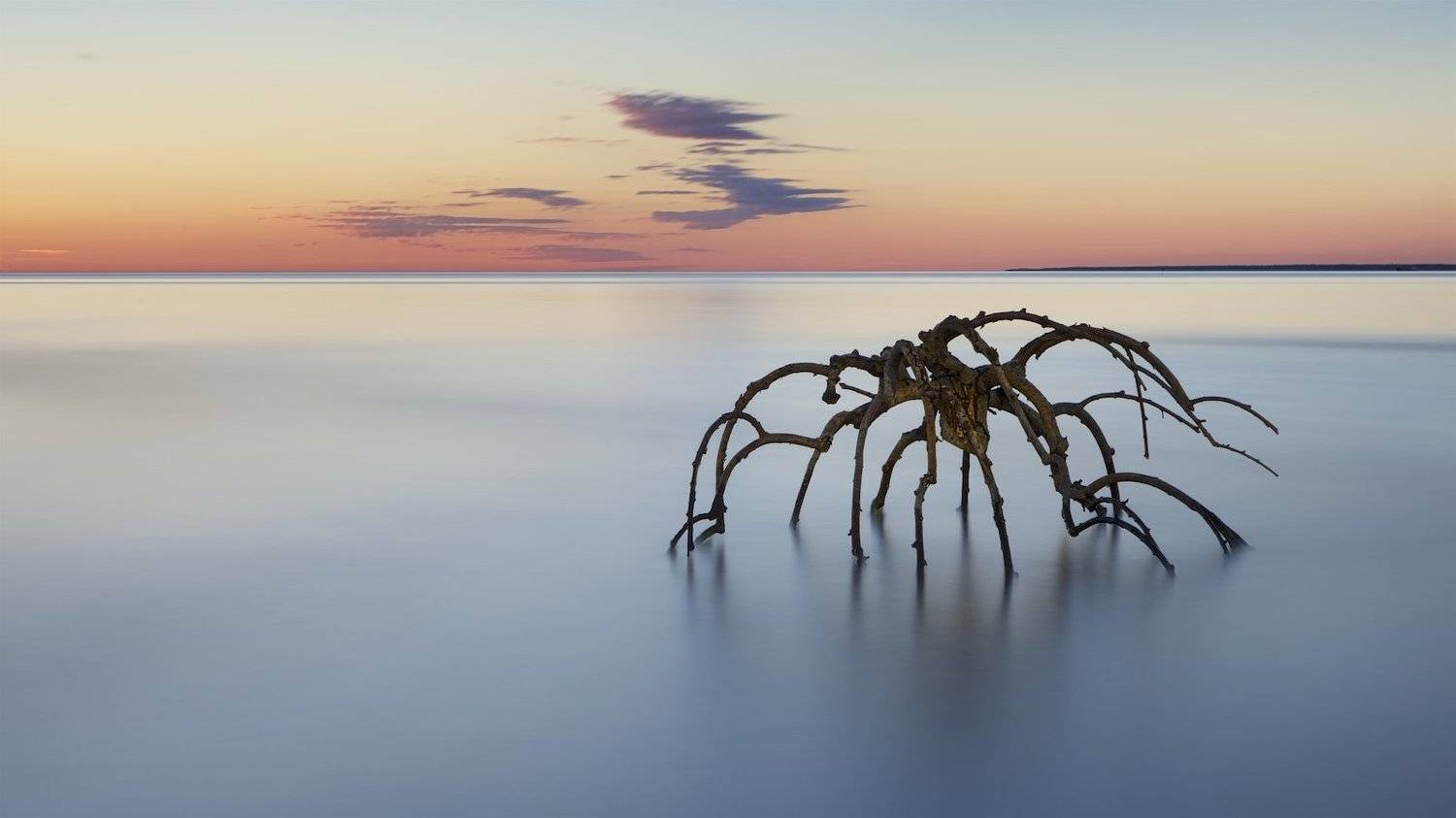 , Эдуард Горобец