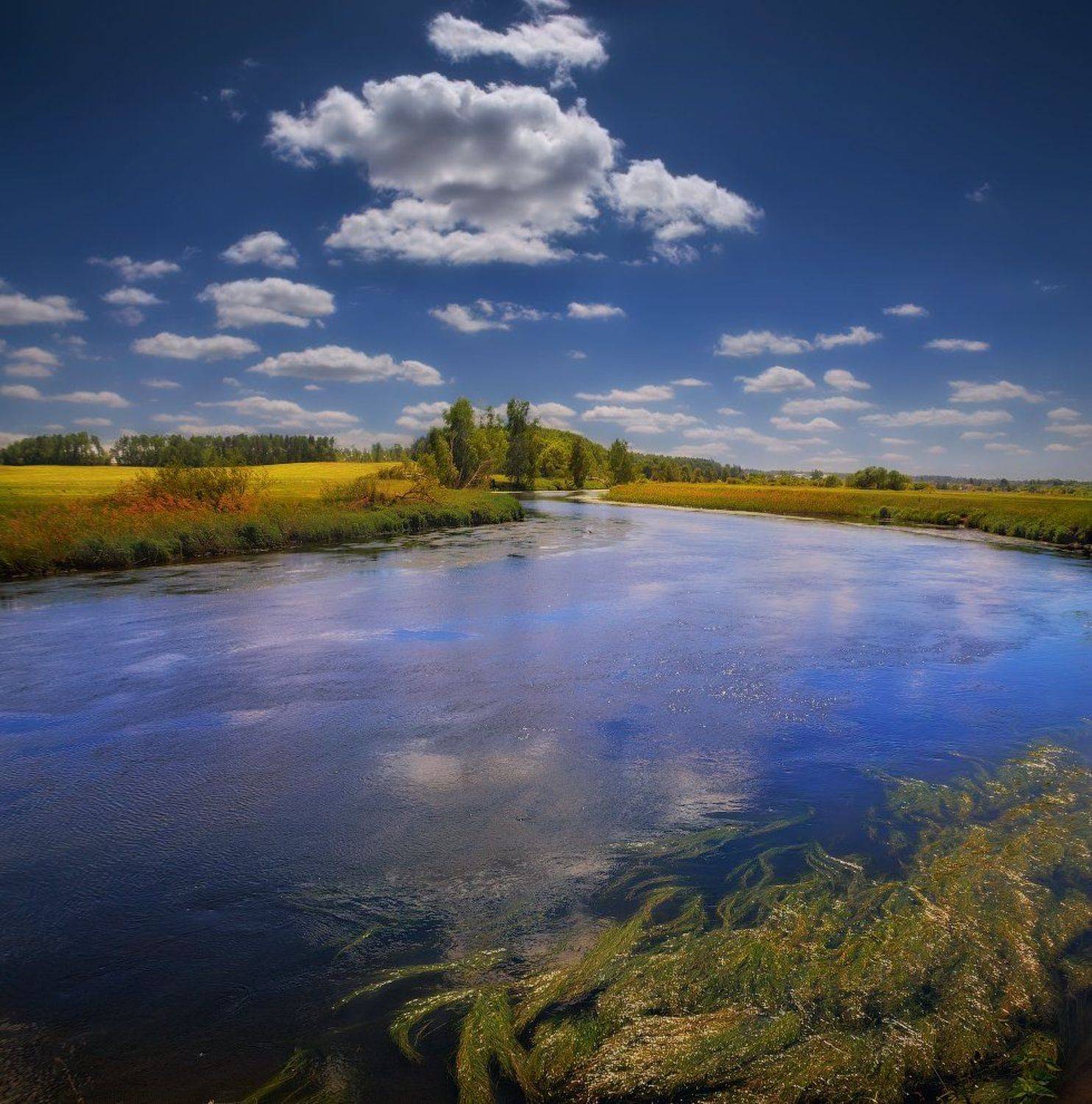 река, полдень, лето,, Сергей Шабуневич