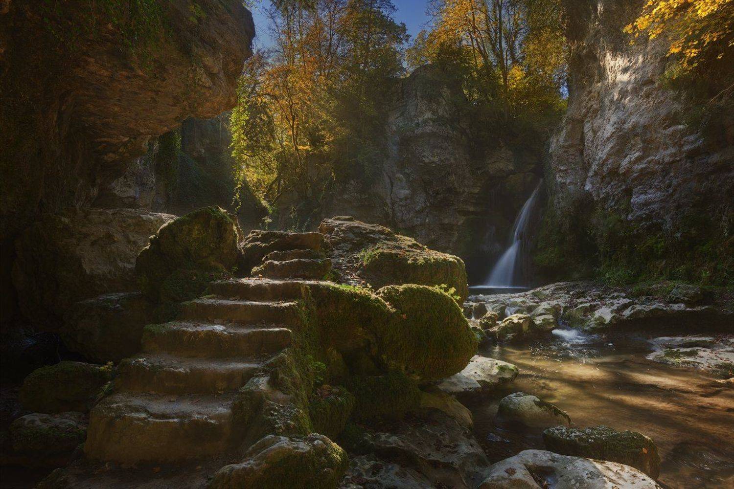 швейцария, Alex Yurko