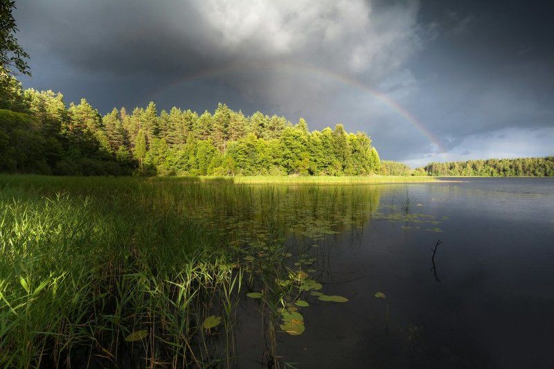 Вечер в заповеднике фото превью