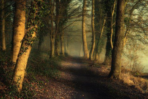Magic alley