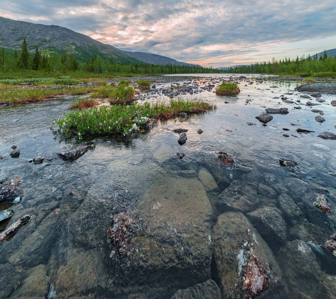 хибины, лето, кольский, заполярье, север, ночь, полярный день,, Роман Горячий