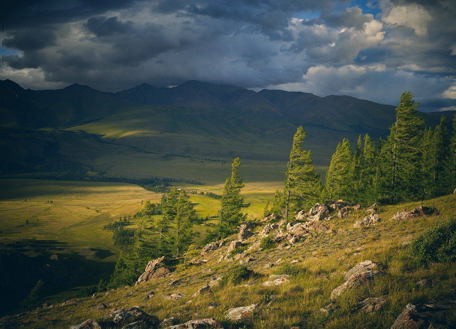 горы, лиственницы, камни, небо, закат, облака, свет, долина, ветер, путешествие, алтай, Игорь Токарев