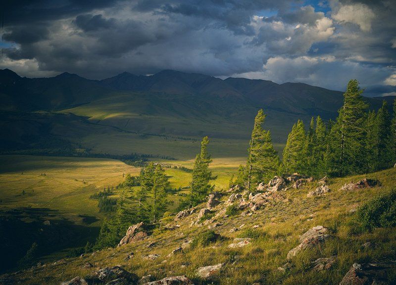 горы, лиственницы, камни, небо, закат, облака, свет, долина, ветер, путешествие, алтай Последний свет фото превью