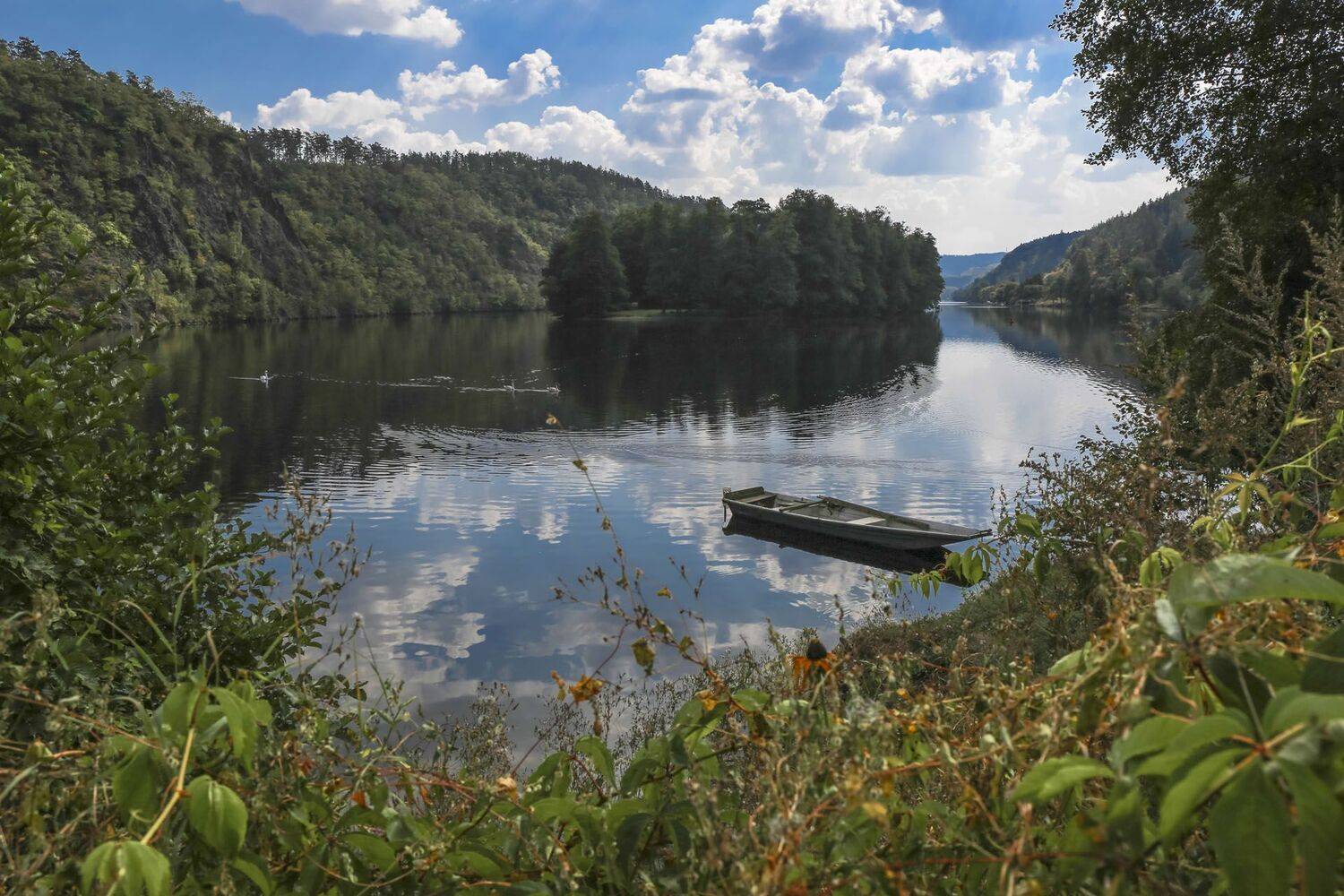 летняя, тишина..., Zadorina Svetlana
